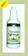 Liquid Chlorophyll 32 oz